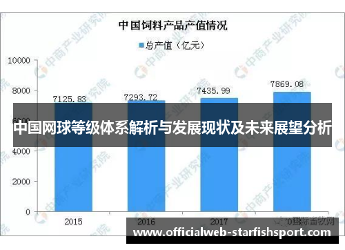 中国网球等级体系解析与发展现状及未来展望分析