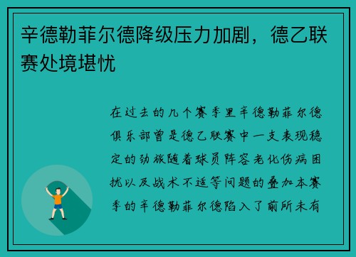 辛德勒菲尔德降级压力加剧,德乙联赛处境堪忧